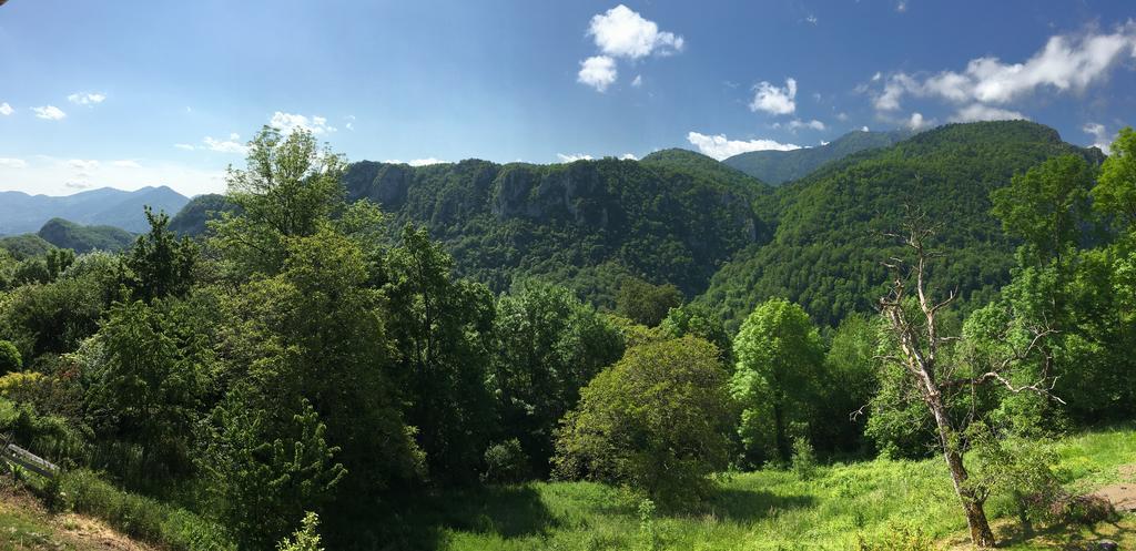 Gite De Serrelongue Montsegur Exterior photo